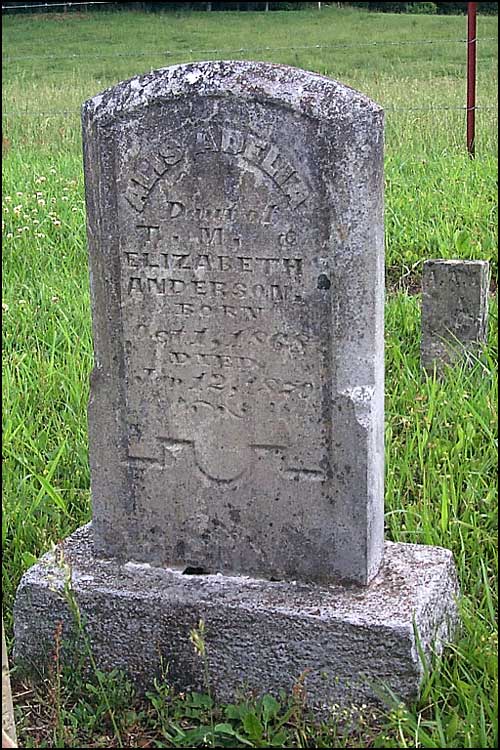 Alis Adelia Anderson Grave - Austin Cemetery