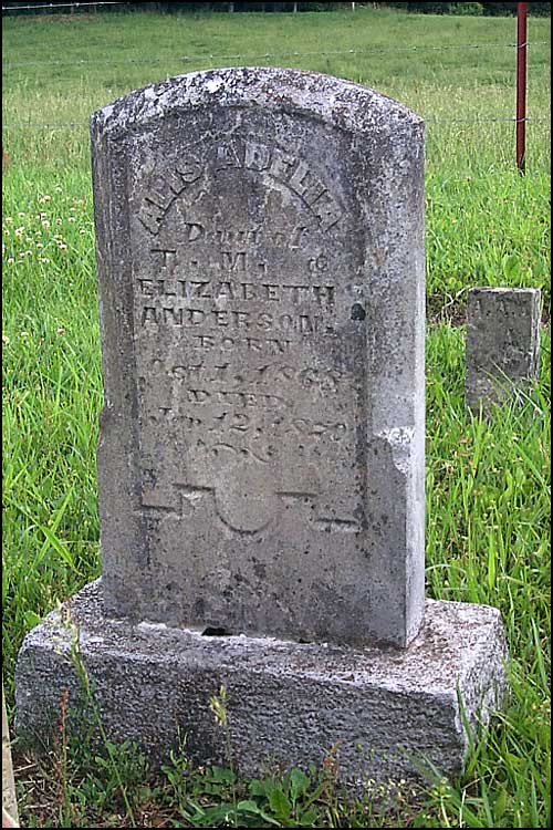 Alis Adelia Anderson Grave - Austin Cemetery