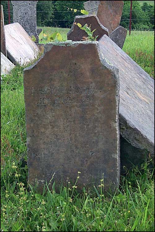 Hannah Austin Grave - Austin Cemetery