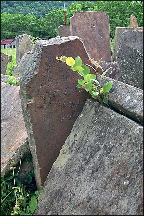 John Wesley Austin Grave - Austin Cemetery