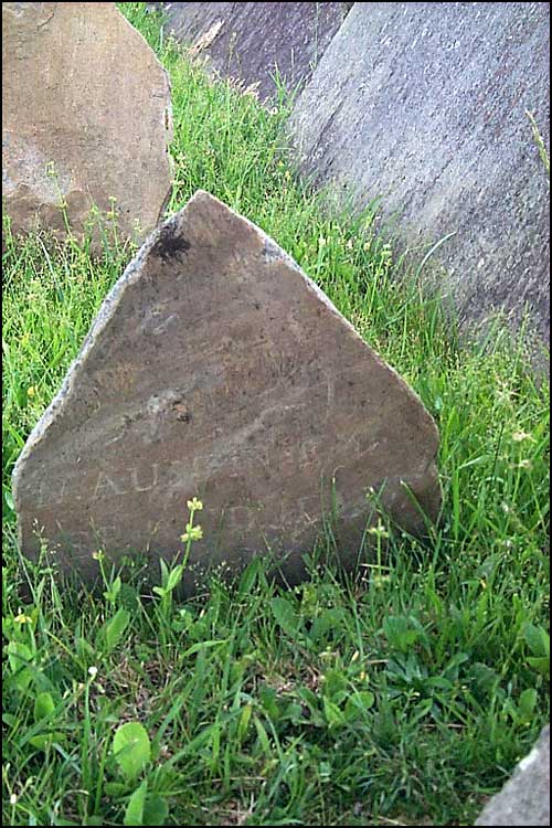 Nathan Austin Grave - Austin Cemetery