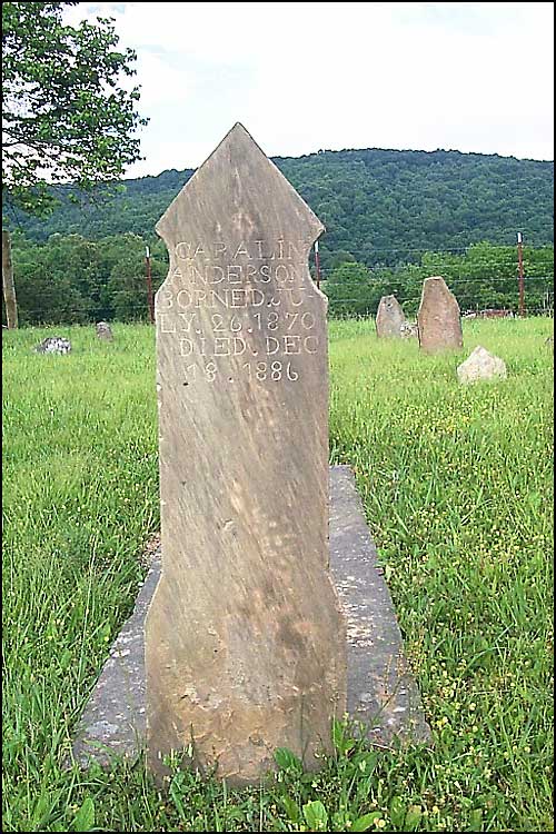 Caroline Anderson Grave - Austin Cemetery