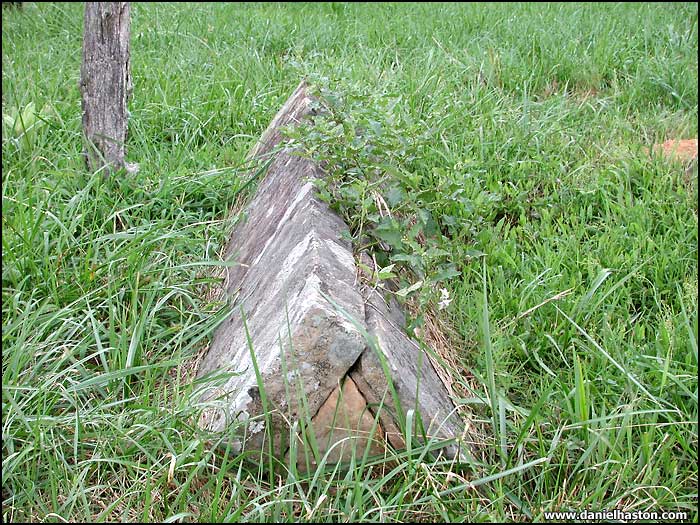 David C. Stipes Grave - Big Fork Cemetery