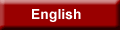 The English View