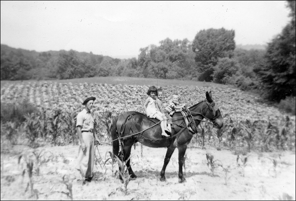 Boyd Haston - son of Charles Beason Haston (son of C.T. & E.S. Haston - Marilyn & Wayne Haston & Mickey McWilliams - Big Bottom in White Co, TN - about 1952